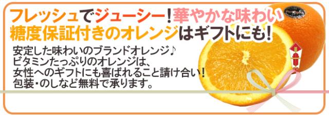 カリフォルニア産 プレミアムオレンジ ”ピュアスペクトネーブルオレンジ” 40〜70玉前後 約10kg【予約 1月下旬以降】 送料無料