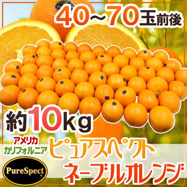 カリフォルニア産 プレミアムオレンジ ”ピュアスペクトネーブルオレンジ” 40〜70玉前後 約10kg【予約 1月下旬以降】 送料無料