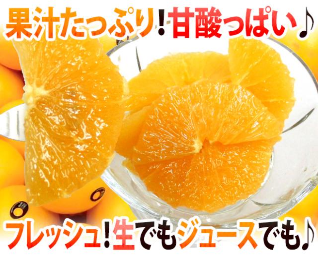 ”ネーブルオレンジ” 約10kg 大きさおまかせ アメリカ・オーストラリア産【予約 入荷次第発送】 送料無料