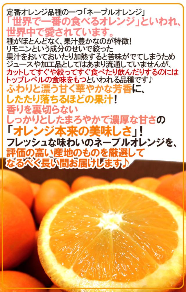 ”ネーブルオレンジ” 約10kg 大きさおまかせ アメリカ・オーストラリア産【予約 入荷次第発送】 送料無料