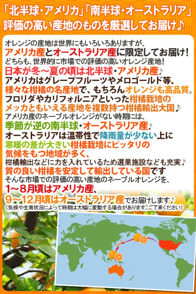 ”ネーブルオレンジ” 約10kg 大きさおまかせ アメリカ・オーストラリア産【予約 入荷次第発送】 送料無料
