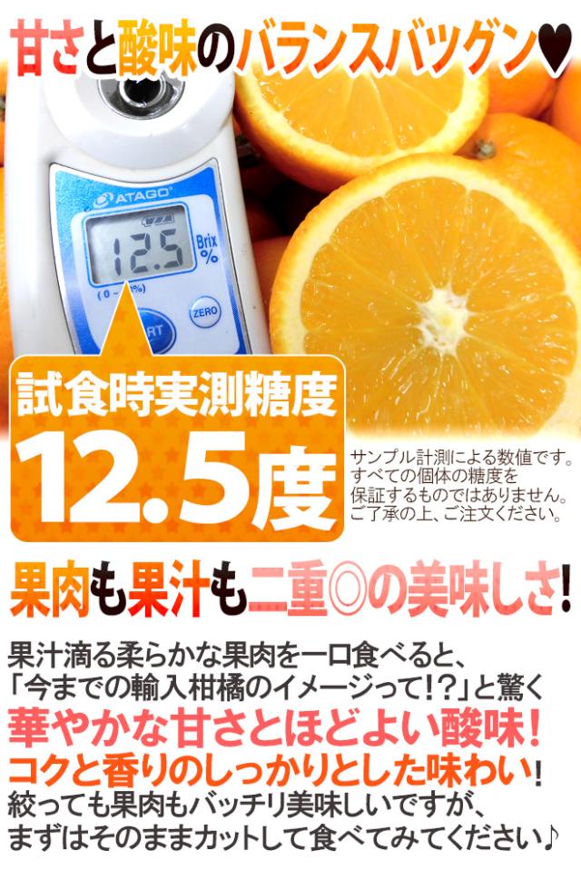 ”ネーブルオレンジ” 約10kg 大きさおまかせ アメリカ・オーストラリア産【予約 入荷次第発送】 送料無料