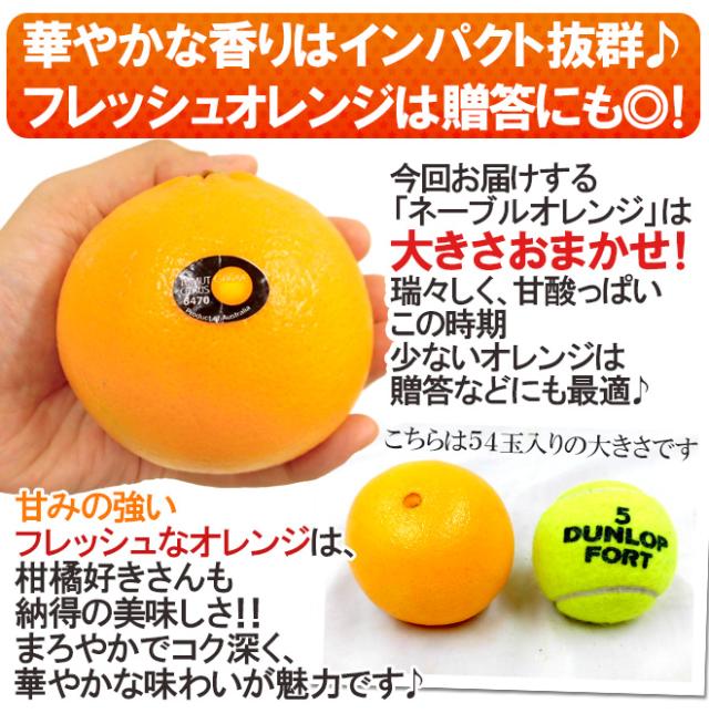 ”ネーブルオレンジ” 約10kg 大きさおまかせ アメリカ・オーストラリア産【予約 入荷次第発送】 送料無料
