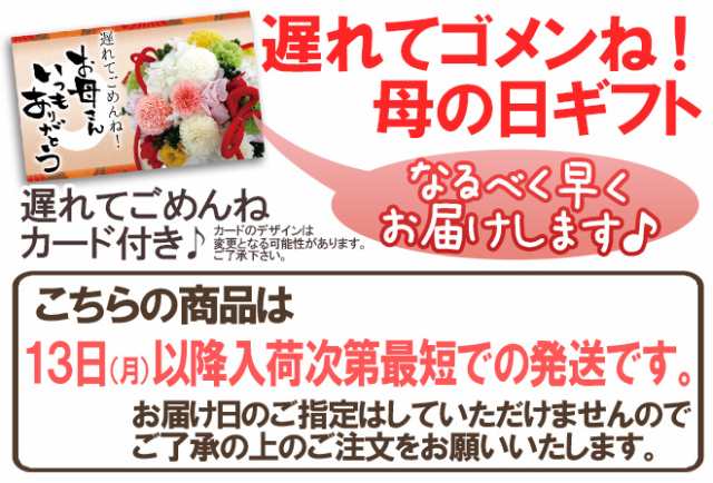 遅れてごめんね 母の日ギフト 中島 カラマンダリン匠と極 みきゃん 化粧箱 12 15玉 約1 2kg カーネーション造花付き 予約 5月1の通販はau Pay マーケット くらし快援隊