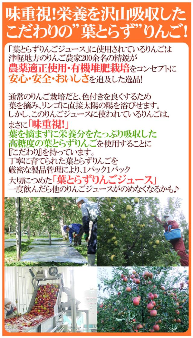 青森 青研の ”葉とらずりんごジュース” 195g×30本×2箱 【予約 入荷次第発送】 送料無料_4