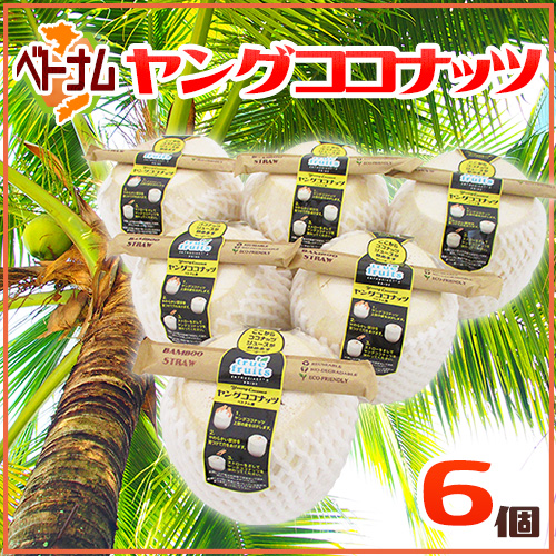 ベトナム産 ”ヤングココナッツ” 6個 ヤシの実/椰子の実【予約 入荷次第発送】 送料無料