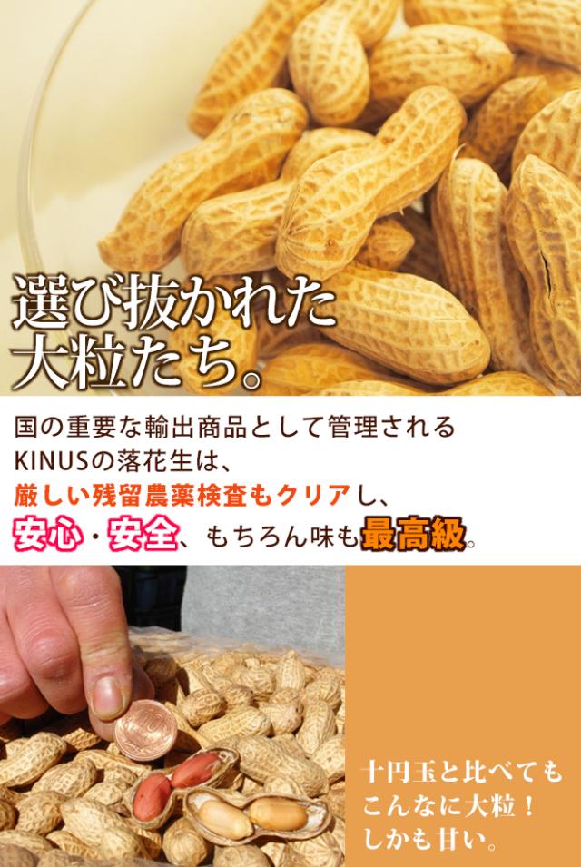 中国産大粒 ”落花生” 真空パック 25kg から付きピーナッツ