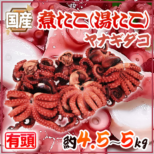 国産 ”煮たこ(湯たこ) ヤナギダコ” 約4.5〜5kg 大きさおまかせ【予約 入荷次第発送】 送料無料