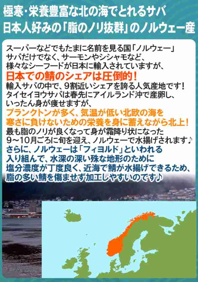 ノルウェー ”塩鯖開き” 訳あり 4～5尾前後 約1.5～2kg 背開き 塩サバ 送料無料の通販はau PAY マーケット - くらし快援隊