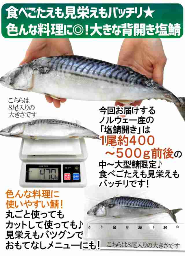 ノルウェー ”塩鯖開き” 訳あり 8～10尾前後 約3.5～4kg 背開き 塩サバ 送料無料の通販はau PAY マーケット - くらし快援隊