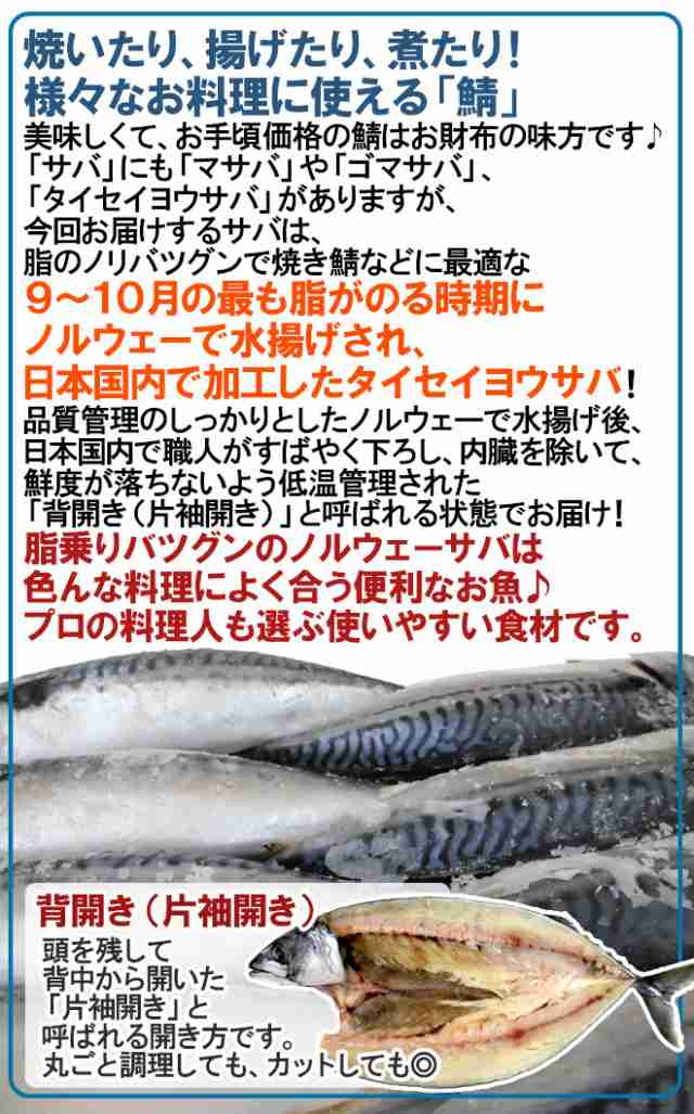 ノルウェー ”塩鯖開き” 訳あり 16～20尾前後 約8kg 背開き 塩サバ 送料無料の通販はau PAY マーケット - くらし快援隊