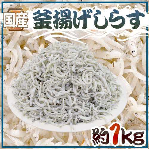 送料無料 国産 釜揚げしらす 約1kg ちりめんじゃこの通販はau Pay マーケット くらし快援隊 送料無料 国産 釜揚げしらす 約1kg ちりめんじゃこの通販はau Pay マーケット くらし快援隊
