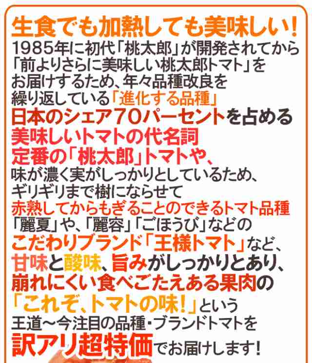 訳あり ”桃太郎トマトor王様トマト ほか” 約4kg 大きさおまかせ 産地厳選 送料無料の通販はau PAY マーケット - くらし快援隊