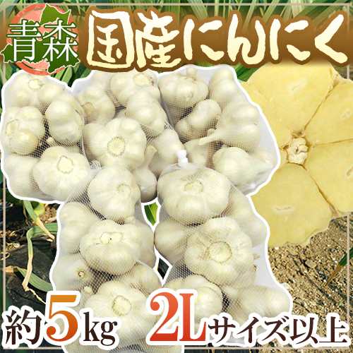 青森県 ”国産にんにく” 約5kg 等級A/B 2Lサイズ以上 送料無料