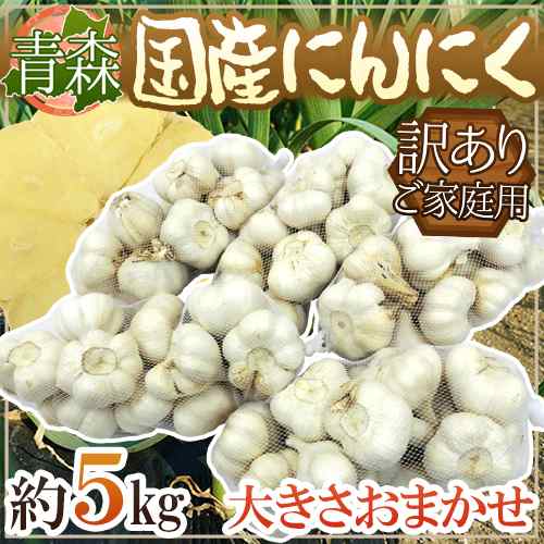 青森県 訳あり ”国産にんにく” 約5kg 大粒六片種にんにく 送料無料