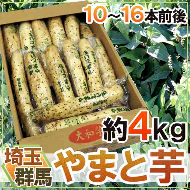 群馬・埼玉 ”やまと芋” 約4kg 10～16本前後 やまといも/山芋/長芋 送料無料の通販はau PAY マーケット - くらし快援隊