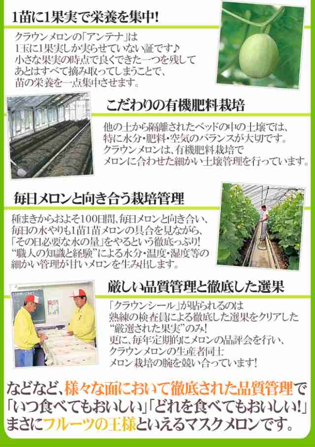 静岡産 高糖度尻割れ ”クラウンメロン” 訳あり 5～6玉 約7～9kg【予約 入荷次第発送】 送料無料の通販はau PAY マーケット -  くらし快援隊