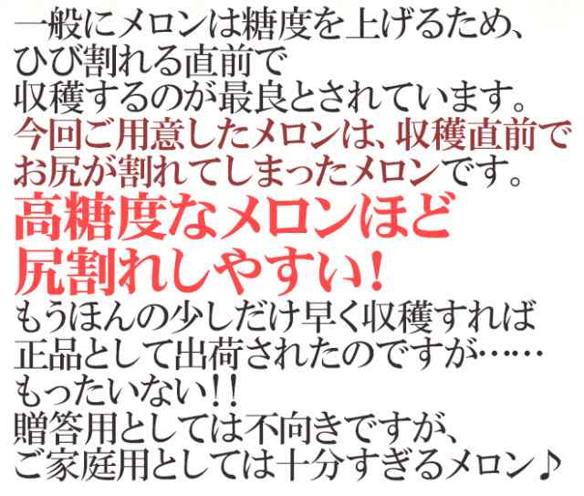 静岡産 高糖度尻割れ ”クラウンメロン” 訳あり 5〜6玉 約7〜9kg【予約