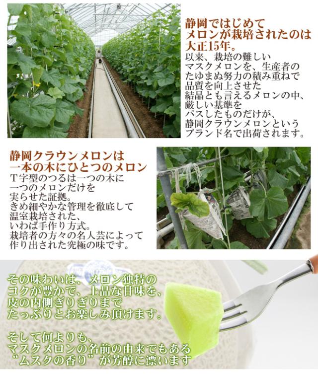 静岡産 ”クラウンメロン” 大玉 5玉 約9kg 等級 白 産地箱 送料無料_4