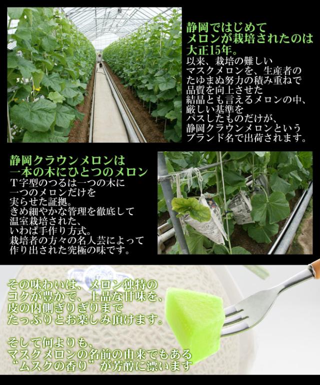 静岡産 ”クラウンメロン”《最高等級 山》大玉 5玉 約9kg 産地箱 送料無料_4
