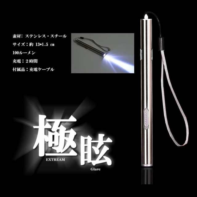 極眩 LED ペン ライト 小型 懐中電灯 USB 充電式 災害 防災 緊急 ツール キャンプ アウトドア 釣り USB アウトドア EGLARE