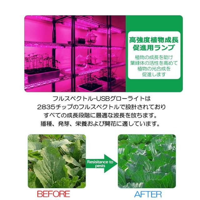 5個セット 植物育成ライト 5m USB LEDテープライト USB給電 日商不足 