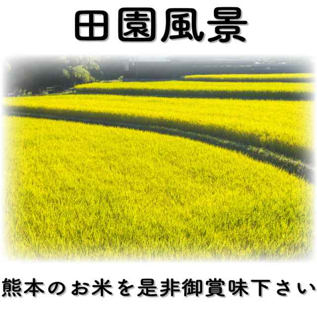 お米 米 5kg 白米 送料無料 熊本県産 ひのひかり 新米 令和4年産 ヒノヒカリ あす着 5kg1個 一等米使用 くまもとのお米の通販はau  PAY マーケット - くまもとのお米販売店富田商店auPAYマーケット店