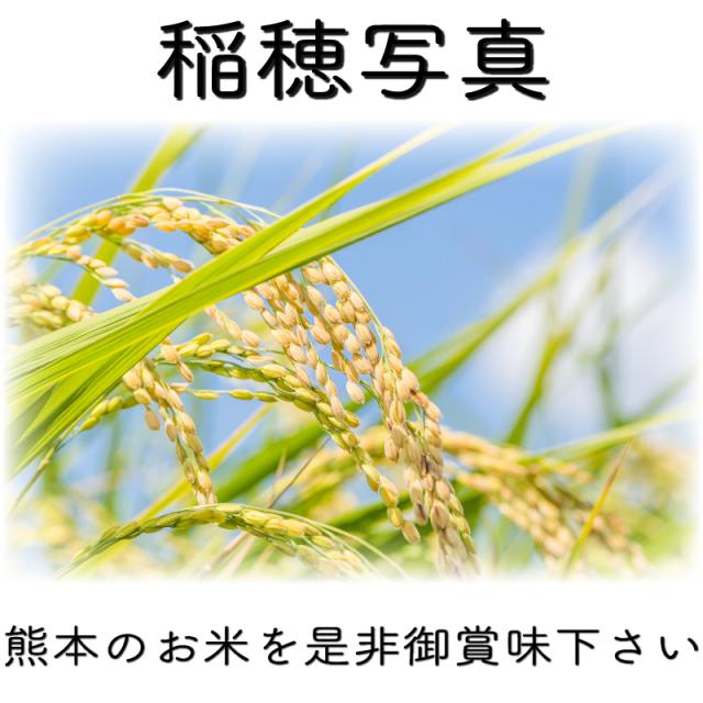 お米 米 10kg 白米 送料無料 最短 一等二等米使用 熊本県産 ひのひかり 令和7年産 ヒノヒカリ 5kg2個 くまもとのお米 富田商店 とみた商店 あじみどり_2