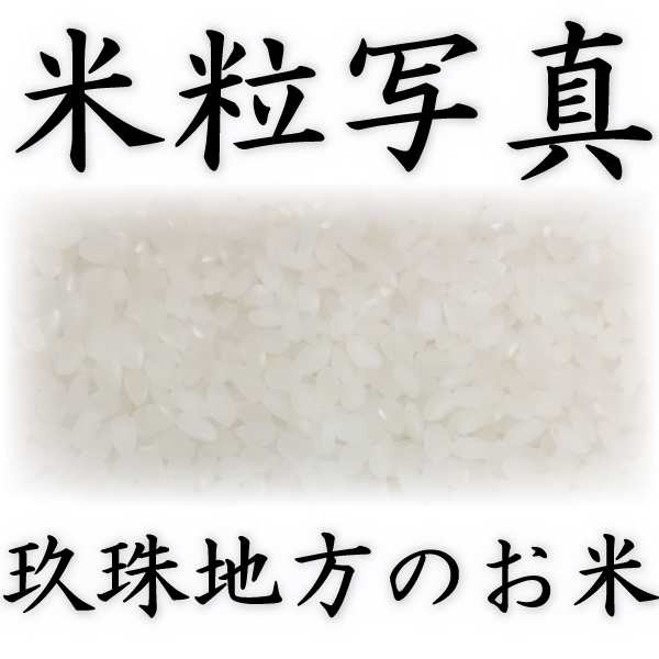 PAY　お米　PAY　棚田米　ひとめぼれ　あす着　白米　大分県　米　令和4年産　富田商店　5kg2個　au　マーケット　玖珠産　10kg　送料無料　くまもとのお米販売店富田商店auPAYマーケット店　とみた商店の通販はau　高級米　ヒトメボレ　マーケット－通販サイト