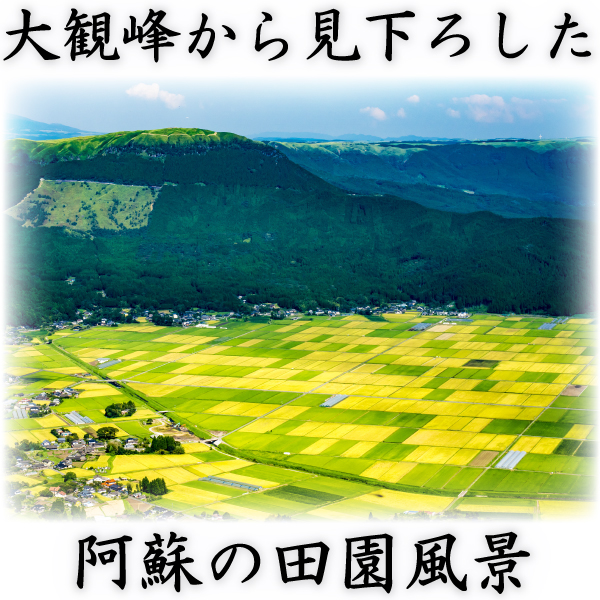 お米 米 15kg 白米 送料無料 最短 熊本県 阿蘇産 こしひかり 令和7年産 コシヒカリ 5kg3個 くまもとのお米 とみた商店 富田商店_2