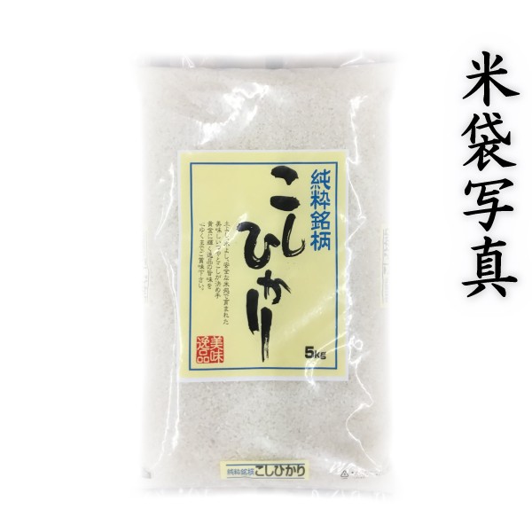 お米　au　米　こしひかり　とみた商店の通販はau　白米　5kg1個　5kg　新米　くまもとのお米販売店富田商店auPAYマーケット店　送料無料　熊本　阿蘇産　くまもとのお米　あす着　マーケット　令和5年産　コシヒカリ　富田商店　PAY　PAY　マーケット－通販サイト