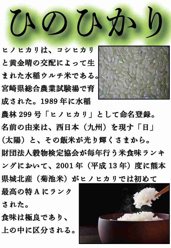 お米 米 10kg 白米 送料無料 熊本県産 ひのひかり あす着 新米 令和5