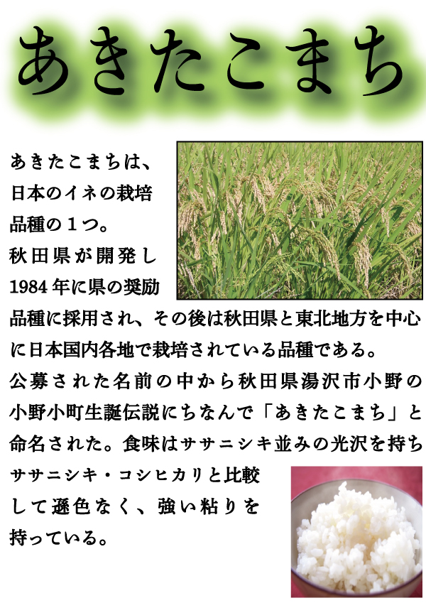 お米 米 10kg 白米 送料無料 最短 宮崎県産 あきたこまち 令和7年産 5kg2個 みやざきのお米 富田商店 とみた商店_3