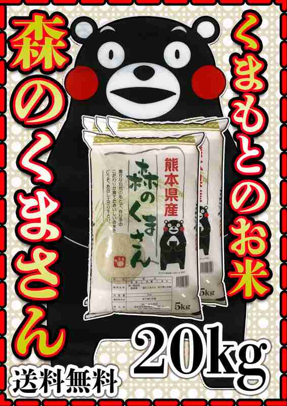 お米 米 20kg 白米 送料無料 熊本県産 森のくまさん 令和4年産 あす着