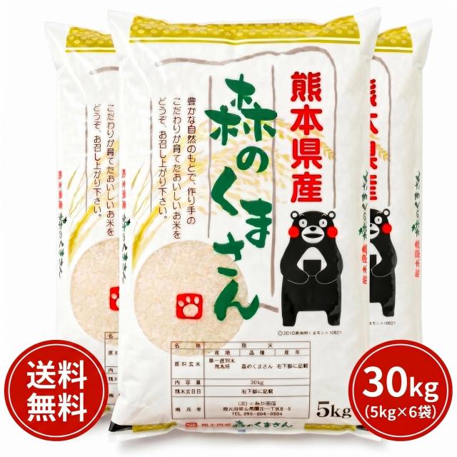 お米 米 30kg 白米 送料無料 最短 熊本県産 森のくまさん 令和7年産 5kg6個 くまモン くまもとのお米 富田商店 とみた商店