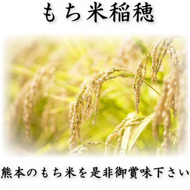 お米 米 20kg 白米 送料無料 最短 熊本県産 ヒヨクモチ もち米 令和7年産 5kg4個 くまもとのお米 富田商店 とみた商店_4