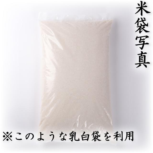 お米 米 20kg 白米 送料無料 最短 熊本県産 ヒヨクモチ もち米 令和7年産 5kg4個 くまもとのお米 富田商店 とみた商店_2