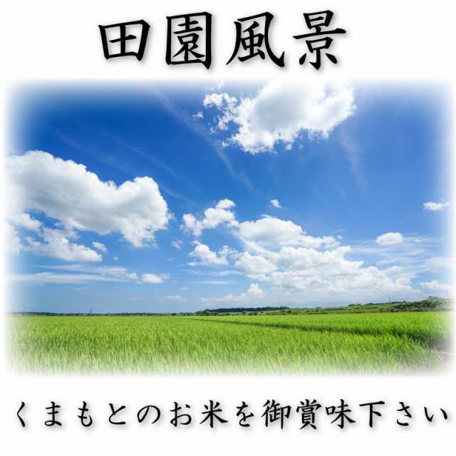 お米 米 10kg 白米 送料無料 熊本県産 ひのひかり 無洗米 あす着 新米 令和4年産 ヒノヒカリ 5kg2個 くまもとのお米の通販はau PAY  マーケット - くまもとのお米販売店富田商店auPAYマーケット店