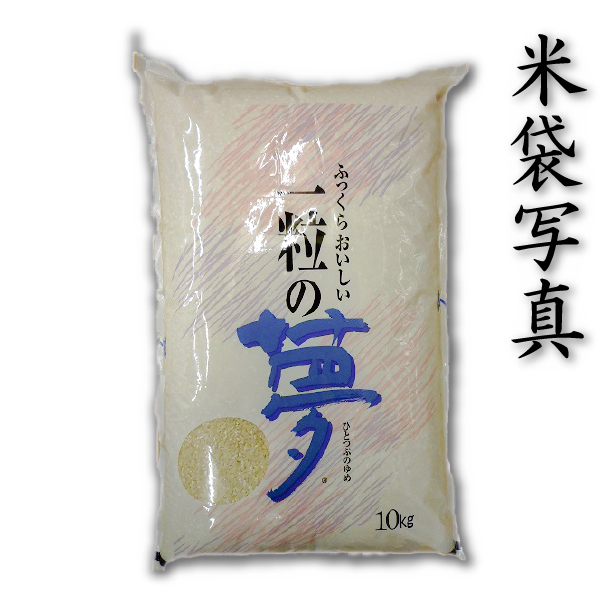 お米 米 30kg 白米 規格外のお米 送料無料 最短 当店お得米 一粒の夢 令和7年版 5kg6個 ノークレーム ノーリターン 白い米 割れた米 小粒 訳あり_1