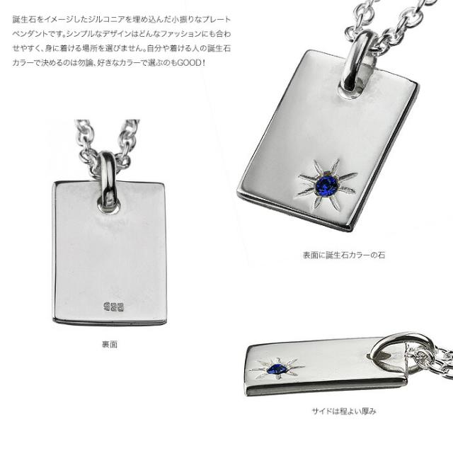 バースデープレートペンダント ネックレス メンズ (2mmアズキチェーン付きセット) シルバー925 アクセサリー Binich 20代 30代 40代 50代 プレゼント 男性用 アクセサリー bap-2713_3