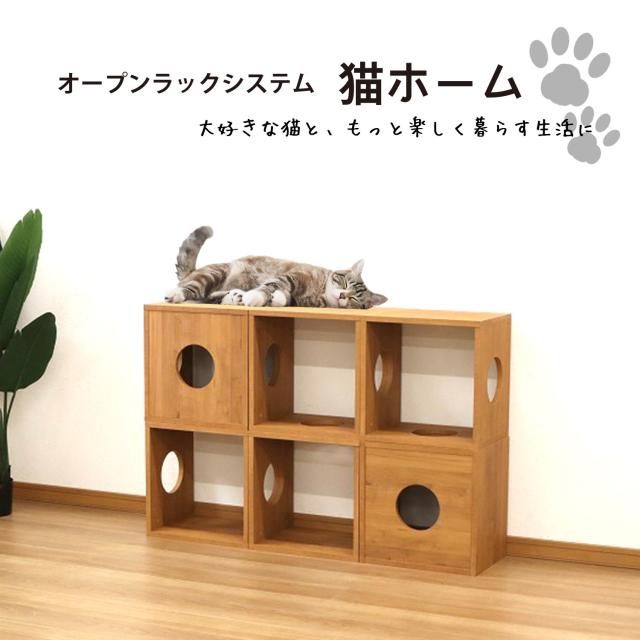 猫 家具 棚 猫用キューブボックス 4穴 幅40cm 奥行30cm 高さ40cm