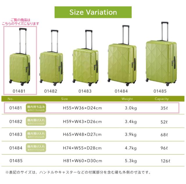 【機内持ち込み】 エース プロテカ コーリー2 スーツケース Sサイズ 35L ジッパータイプ 01481 国内線100席以上 ACE PROTECA 日本製_13
