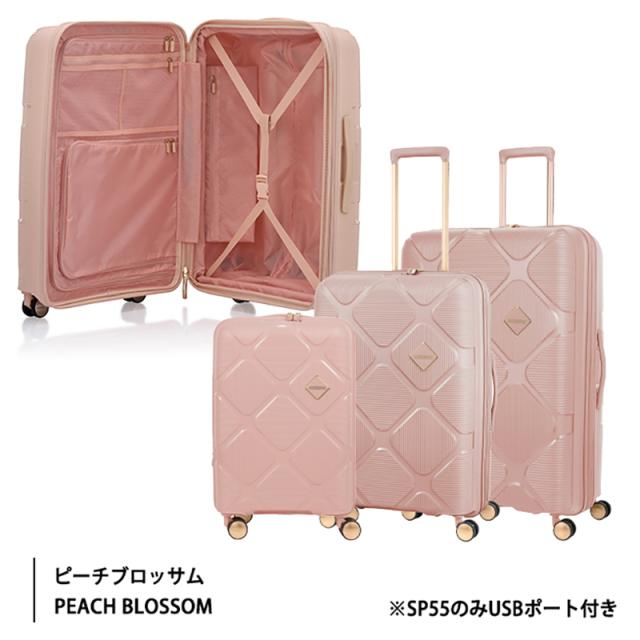 アメリカンツーリスター インスタゴン HJ4*002 79-87L