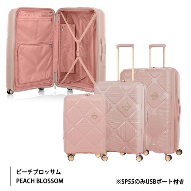 【リニューアル】 アメリカンツーリスター インスタゴン スーツケース Lサイズ 123L/139L スピナー81 EXP HJ4*003 容量拡張 サスペンション ダブルキャスター 仕切り内装 受託手荷物対応 ( AMERICAN TOURISTER 静音 エキスパンダブル )_12