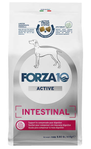 【トリッコインターナショナル】ＦＯＲＺＡ１０（フォルツァディエチ）　インテスティナル　アクティブ　中粒　４ｋｇ