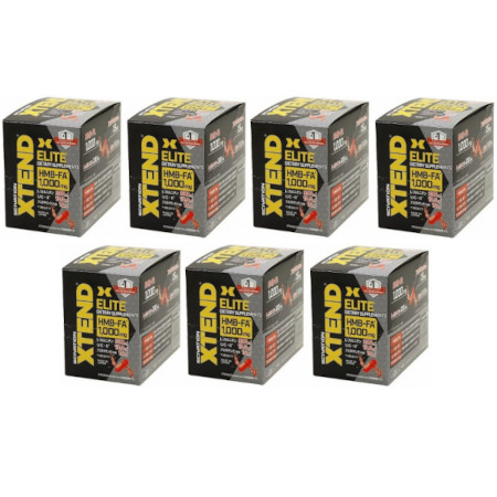 XTEND ELITE 15包【7個セット】(4977697115057-7)の通販は 14,909円