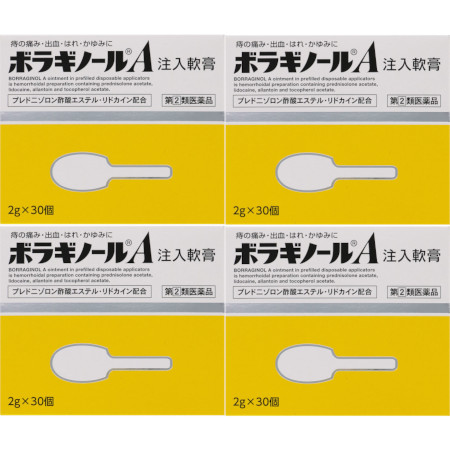 【第(2)類医薬品】ボラギノールＡ注入軟膏 2g×30個入【4個セット】(4987978101051-4)の通販は