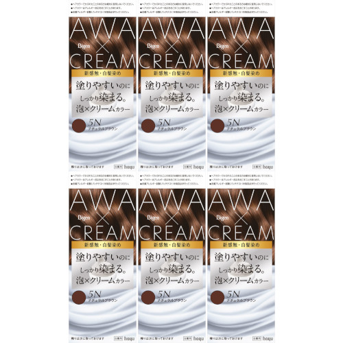 ビゲン 泡クリームカラー 5Nナチュラルブラウン【6個セット】(4987205011870-6)