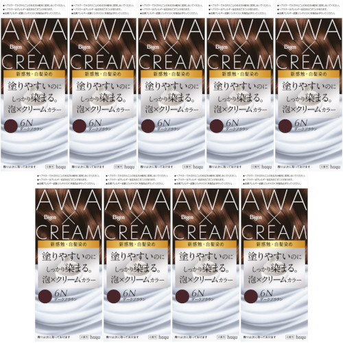 ビゲン 泡クリームカラー 6Nダークブラウン【9個セット】(4987205011887-9)