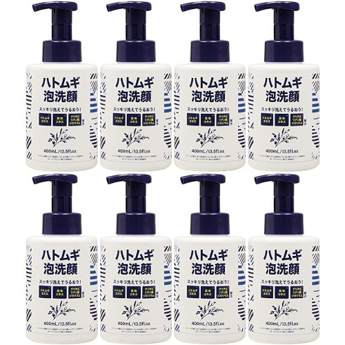 メンズ ハトムギ泡洗顔 400ml【8個セット】(4573500873017-8)